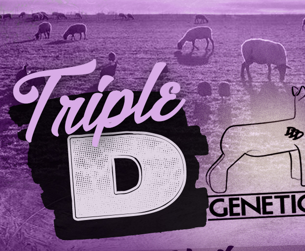 Triple D Genetics