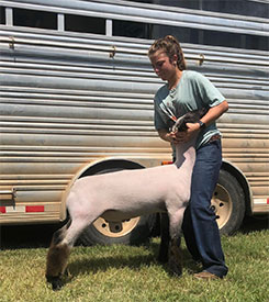 Triple D Genetics Winners