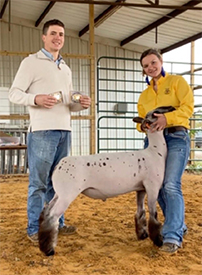 Triple D Genetics Winners