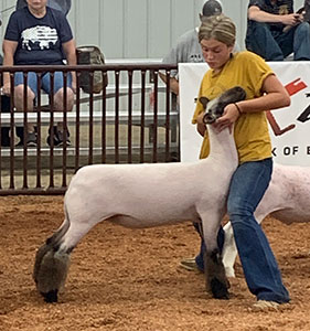 Triple D Genetics Winners