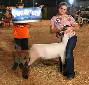 Triple D Genetics Winners