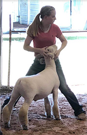 Triple D Genetics Winners