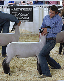Triple D Genetics Winners