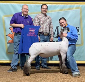 Triple D Genetics Winners