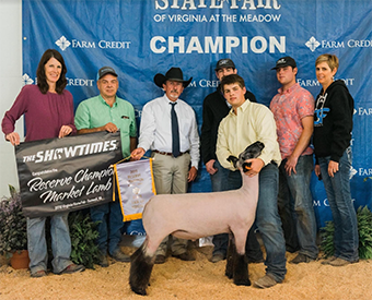 Triple D Genetics Winners