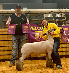 Triple D Genetics Winners