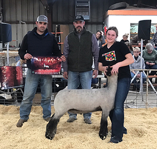 Triple D Genetics Winners