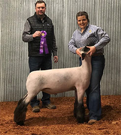 Triple D Genetics Winners