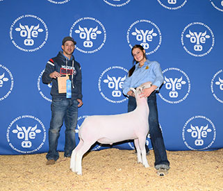 Triple D Genetics Winners
