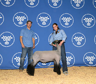 Triple D Genetics Winners