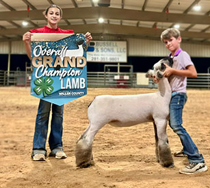 Triple D Genetics Winners