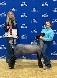 Triple D Genetics Winners