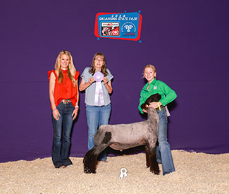 Triple D Genetics Winners