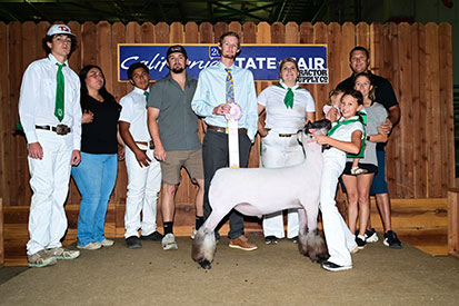 Triple D Genetics Winners