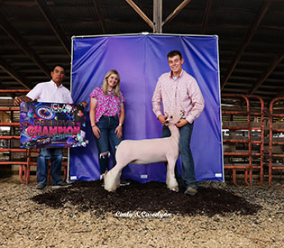 Triple D Genetics Winners